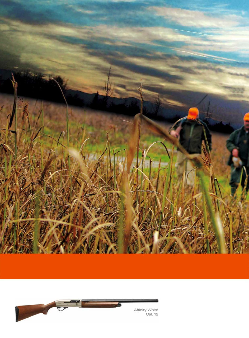 Armi E Tiro Preview Pages