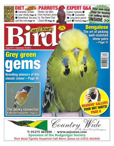Cage & Aviary Birds issue No.5771 Grey Green Gems