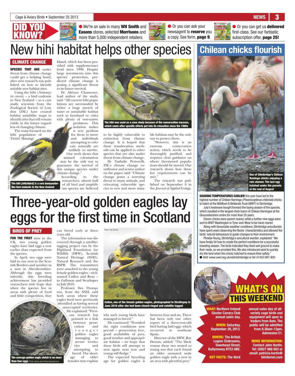 Cage & Aviary Birds Preview Pages