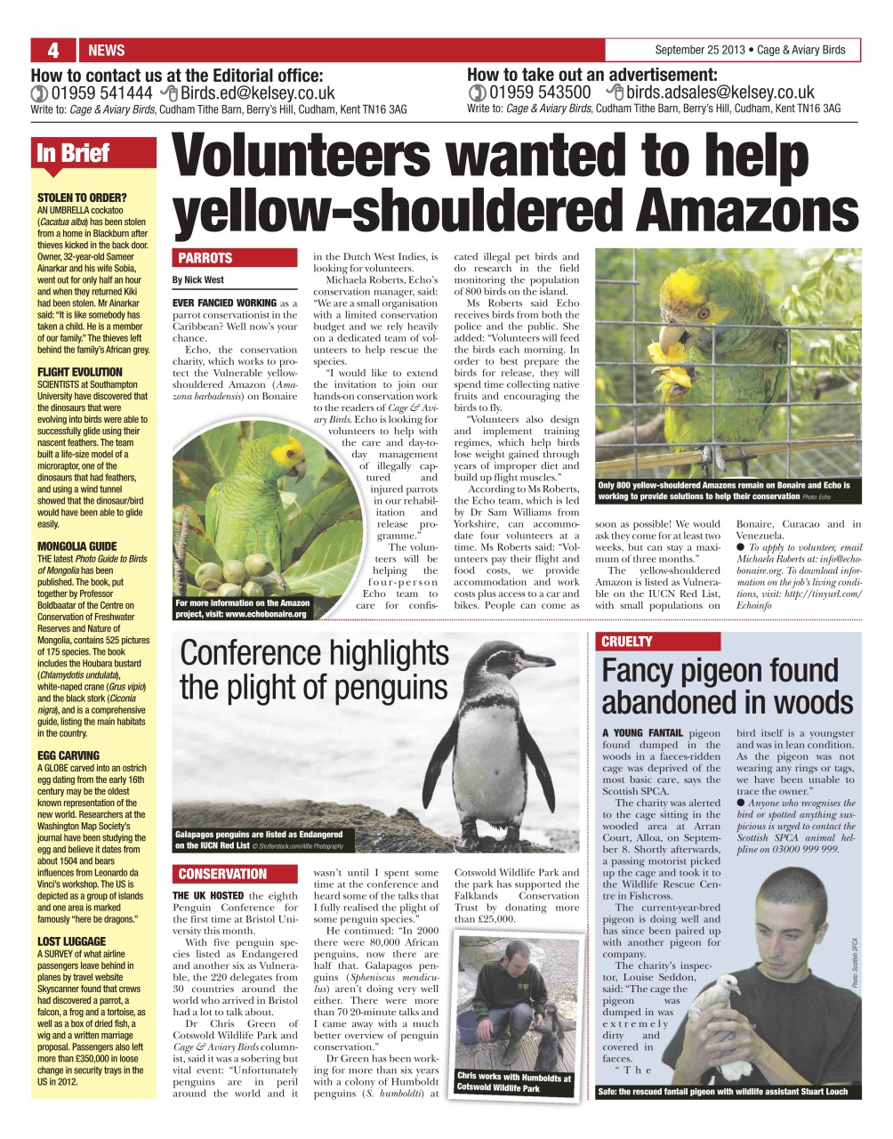 Cage & Aviary Birds Preview Pages