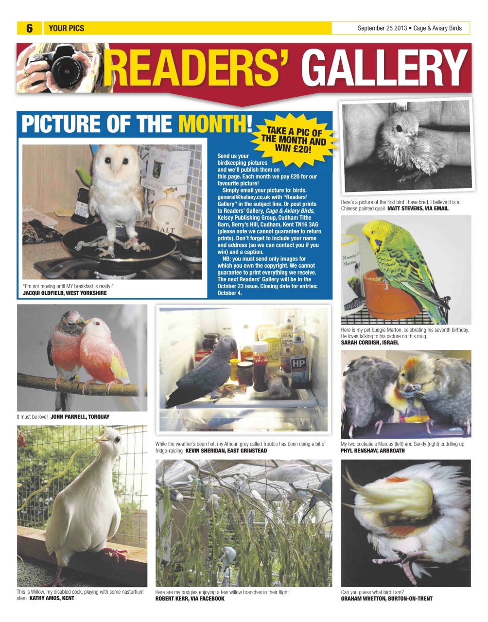 Cage & Aviary Birds Preview Pages