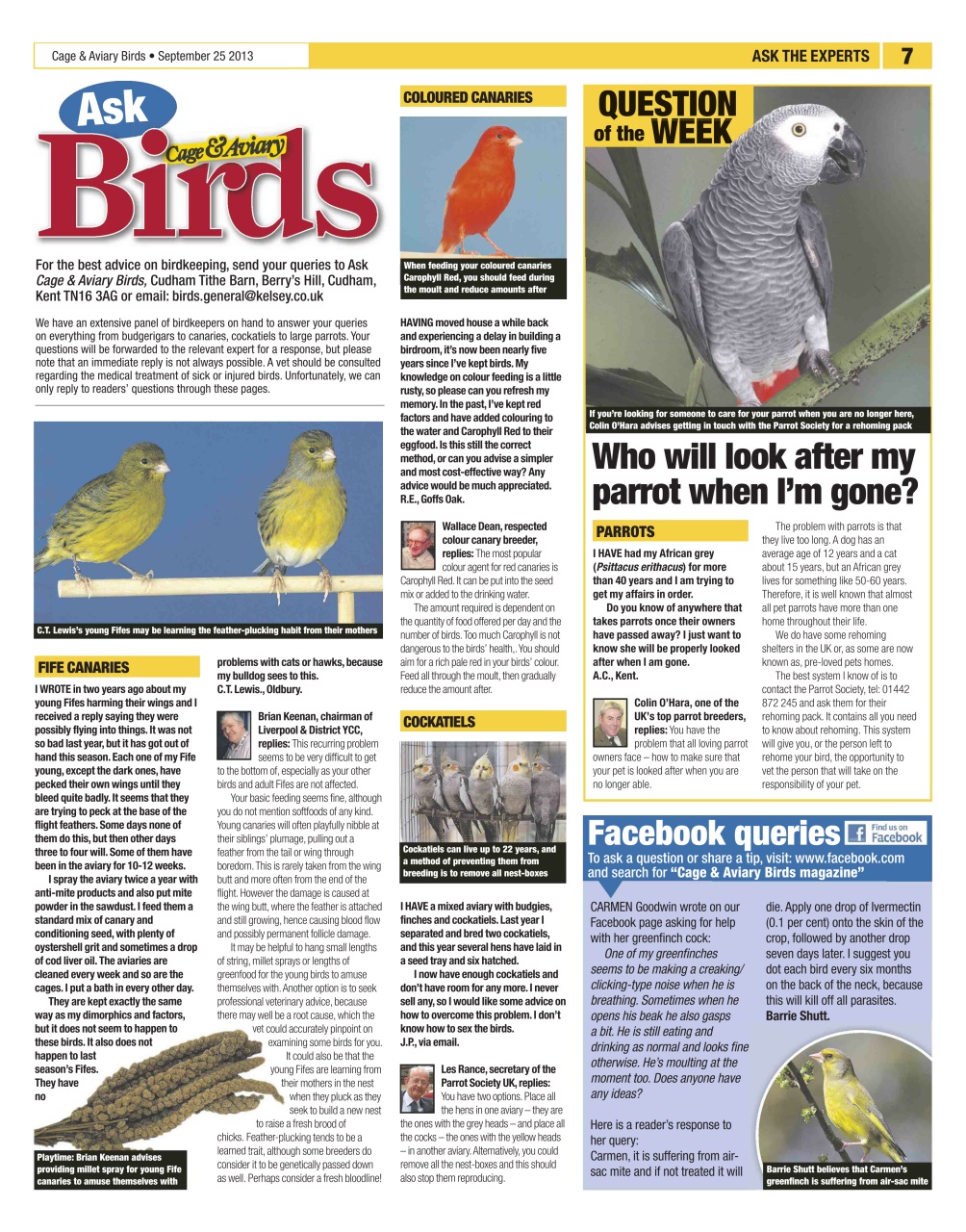 Cage & Aviary Birds Preview Pages