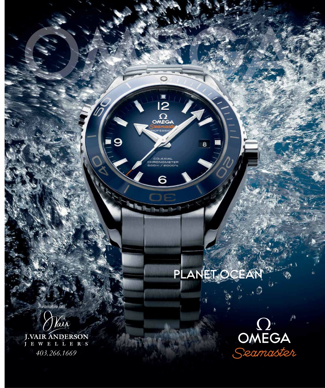 Avenue Calgary Preview Pages