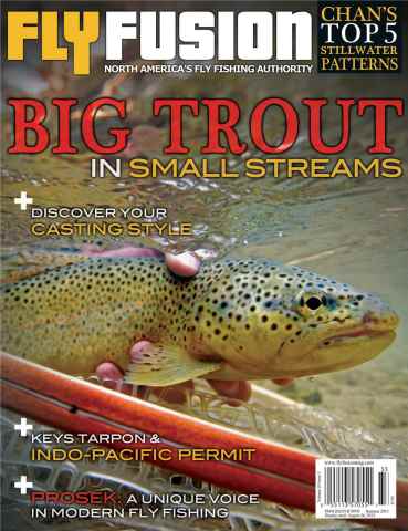 Fly Fusion issue Volume 10 Issue 3
