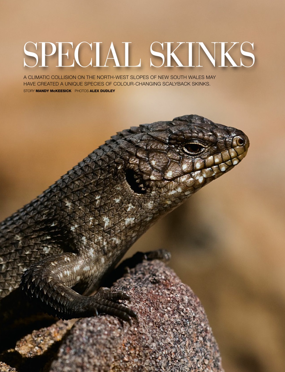 OUTBACK Magazine Preview Pages