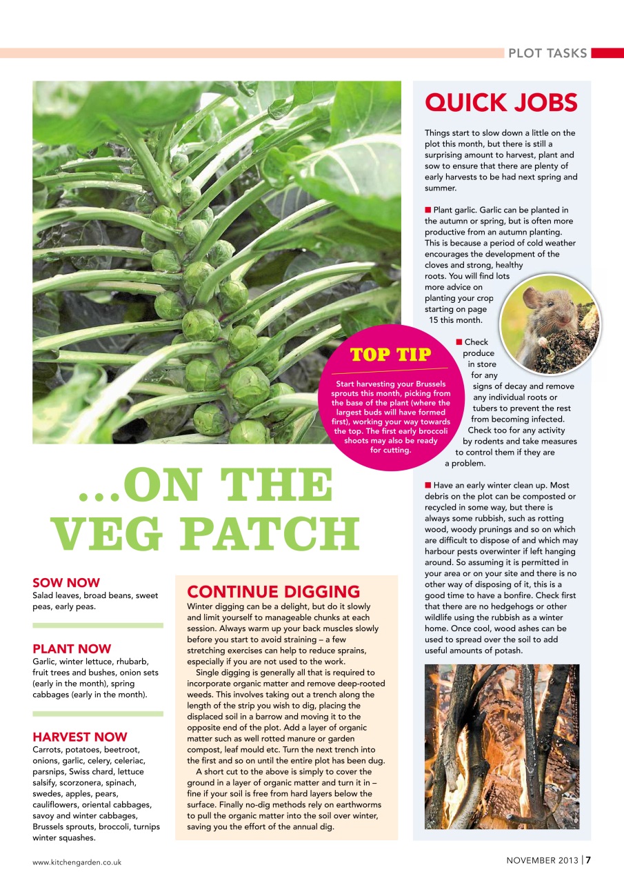 Kitchen Garden Magazine Preview Pages