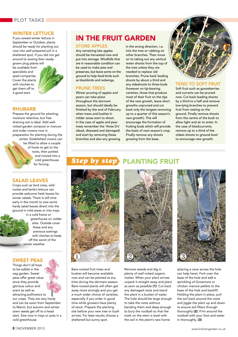 Kitchen Garden Magazine Preview Pages