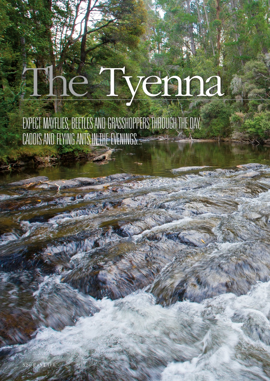 FlyLife Preview Pages