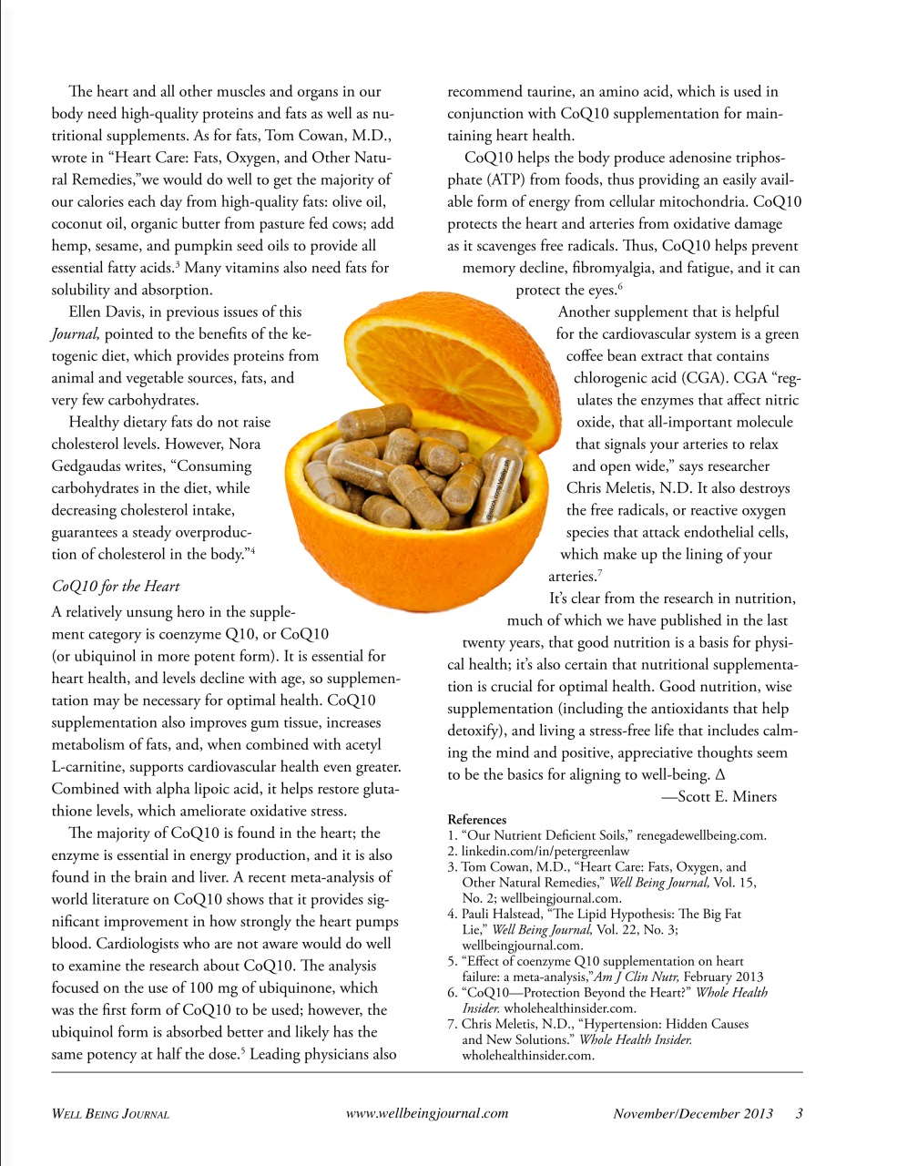 Well Being Journal Preview Pages