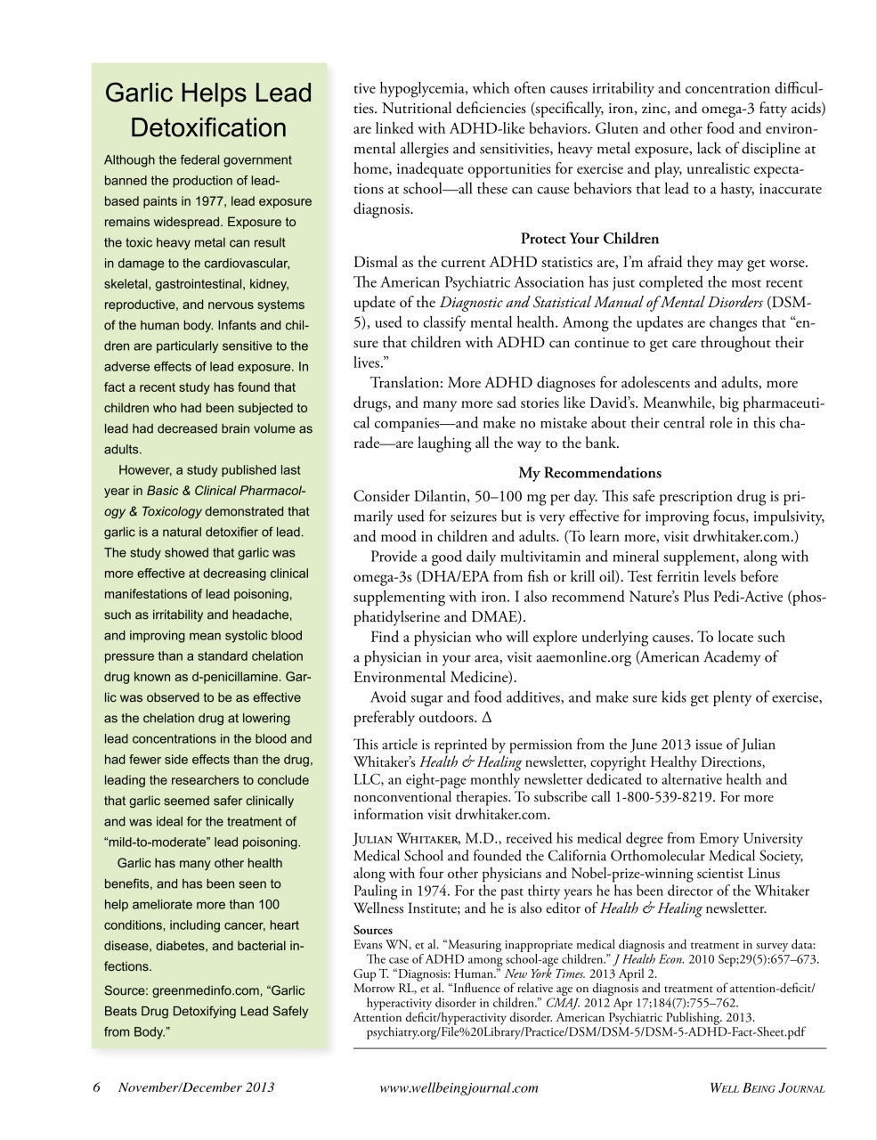 Well Being Journal Preview Pages