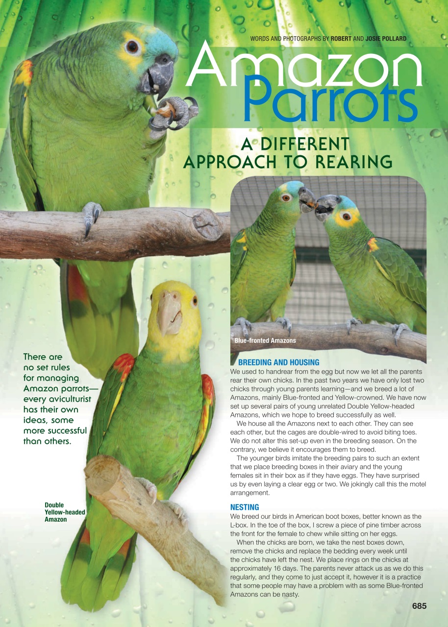 Australian Birdkeeper Magazine Preview Pages