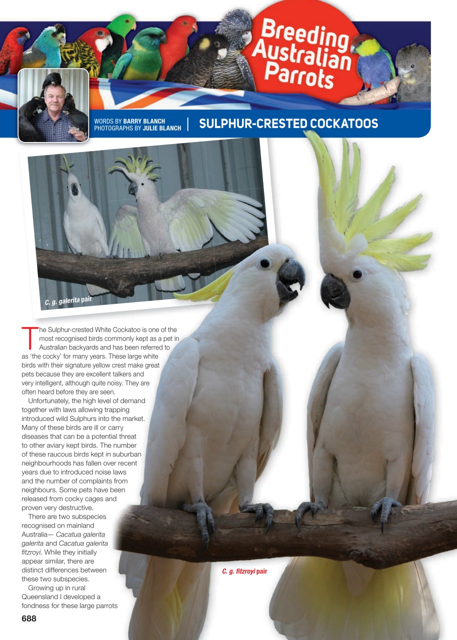 Australian Birdkeeper Magazine Preview Pages