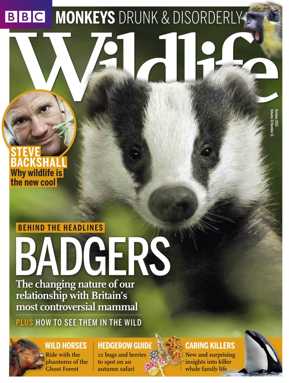 BBC Wildlife Magazine Preview Pages