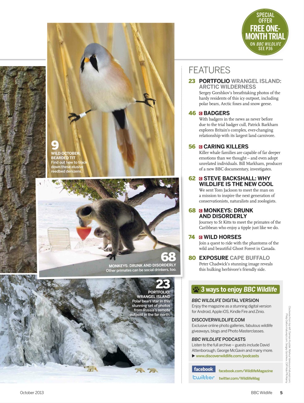 BBC Wildlife Magazine Preview Pages