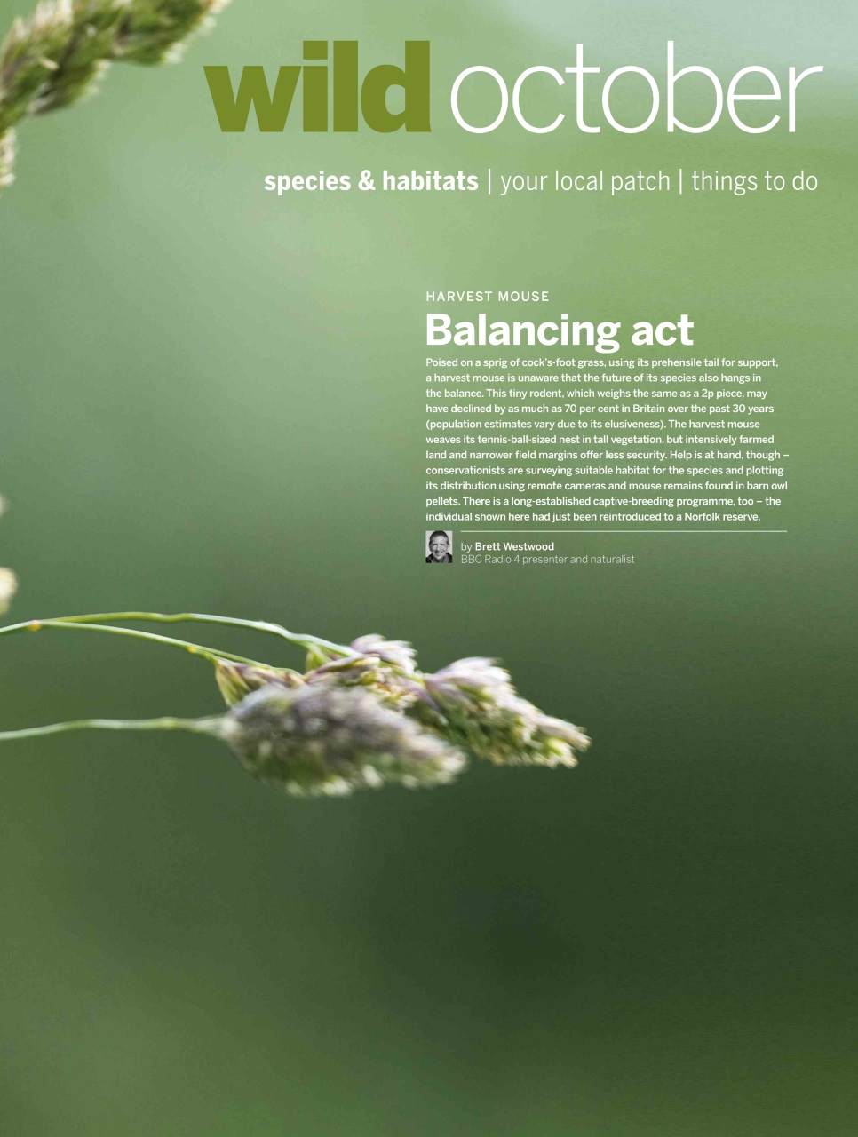 BBC Wildlife Magazine Preview Pages