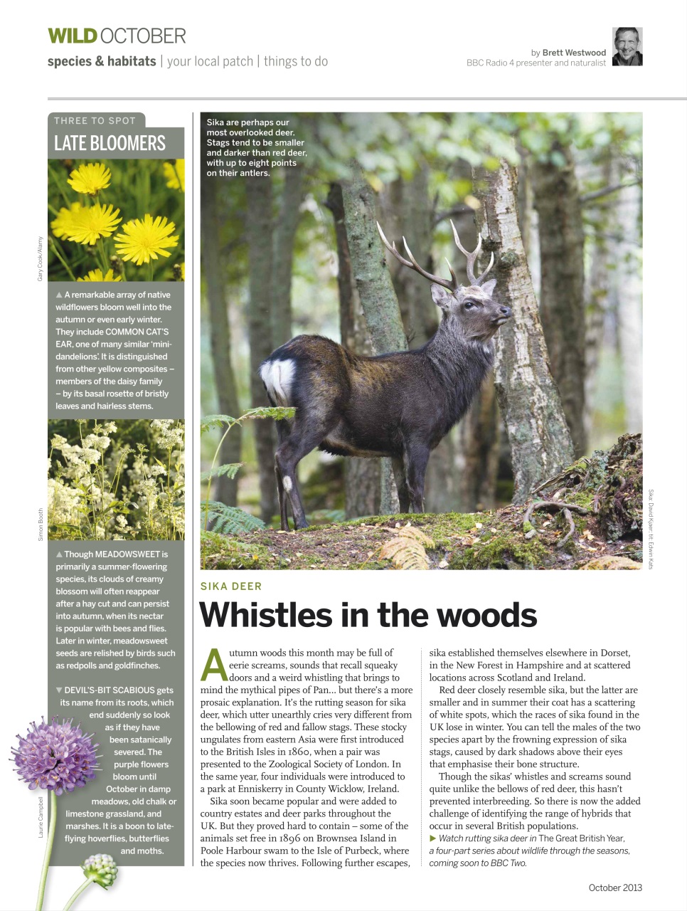BBC Wildlife Magazine Preview Pages