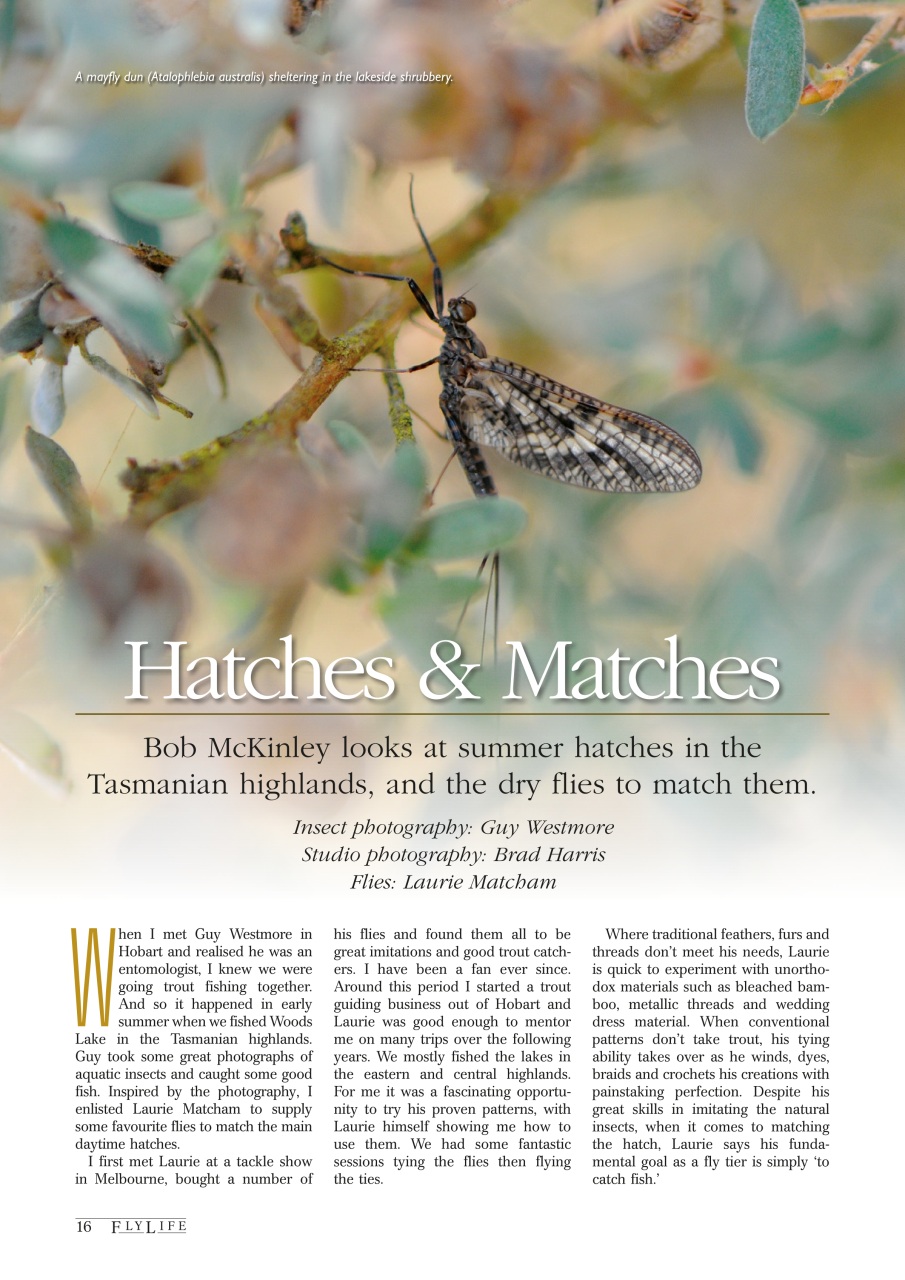 FlyLife Preview Pages