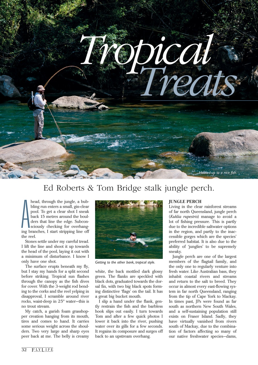 FlyLife Preview Pages