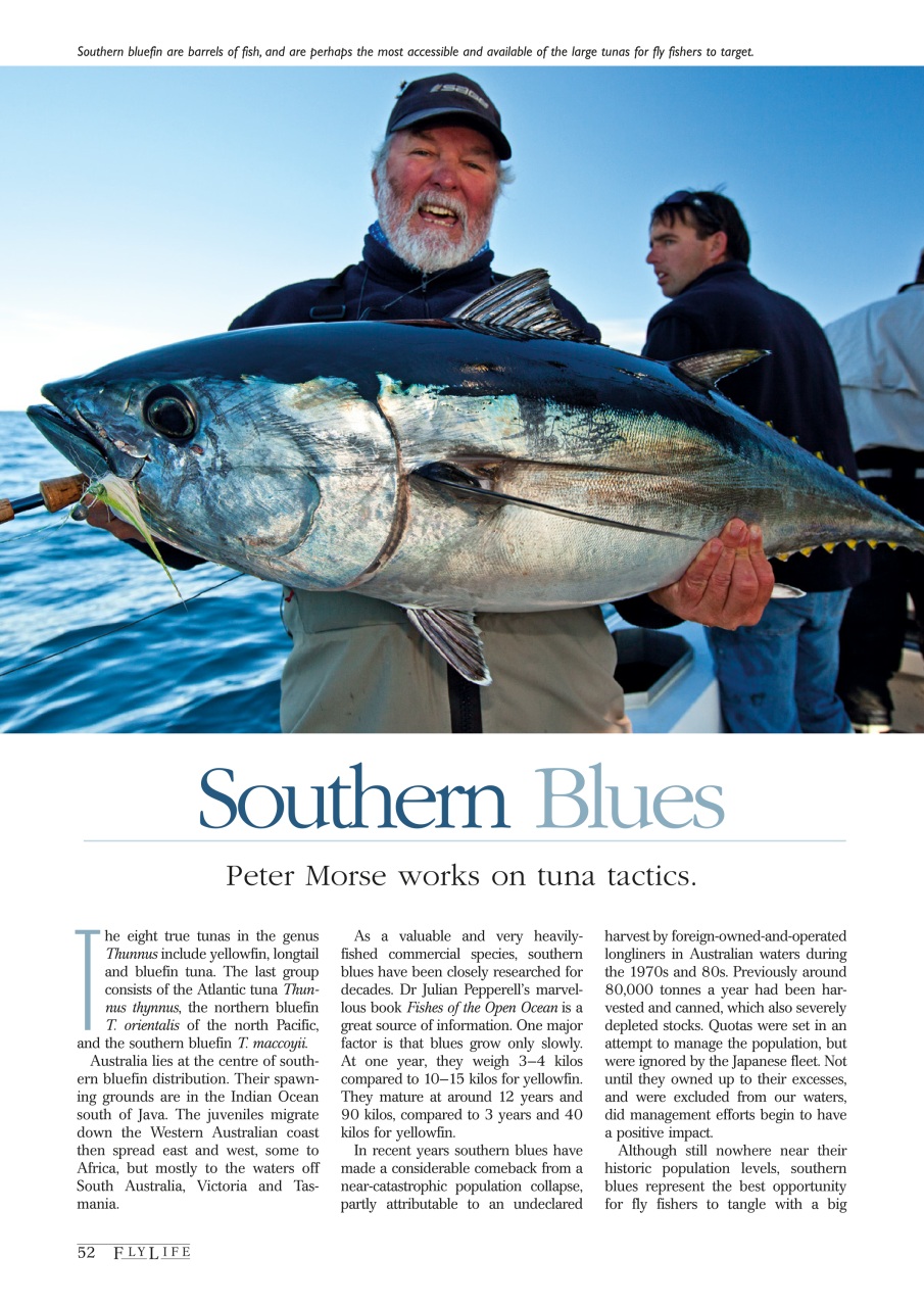 FlyLife Preview Pages