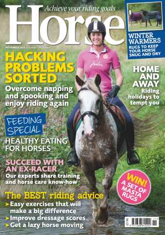 Horse issue November 2013