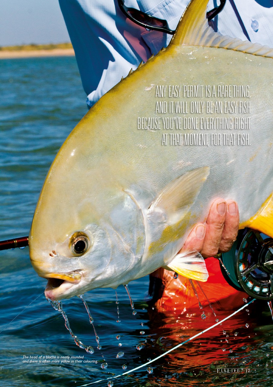 FlyLife Preview Pages