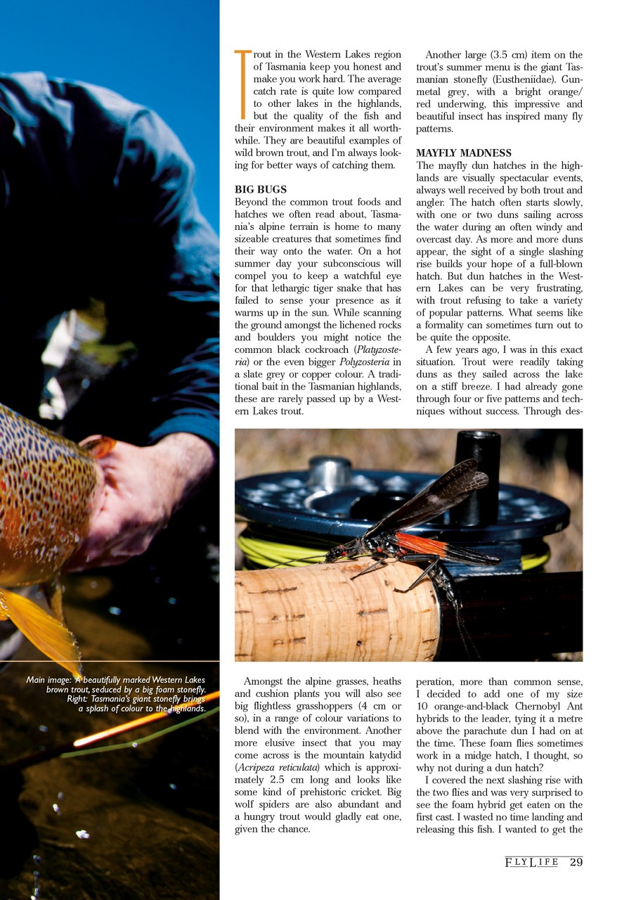 FlyLife Preview Pages
