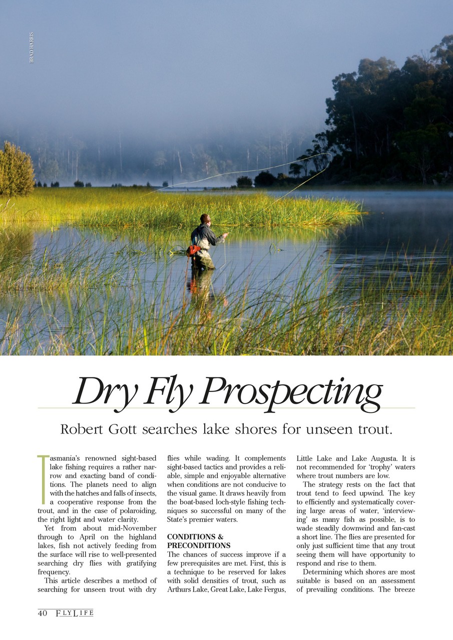 FlyLife Preview Pages