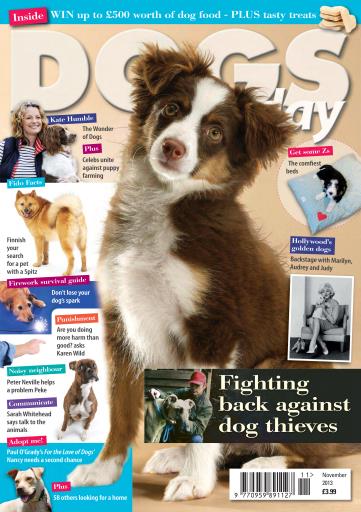 Dogs Today Magazine issue 