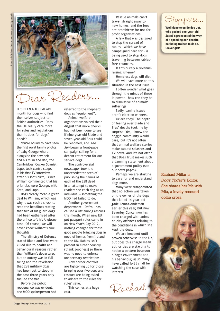 Dogs Today Magazine Preview Pages