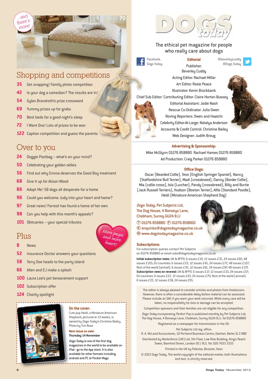 Dogs Today Magazine Preview Pages