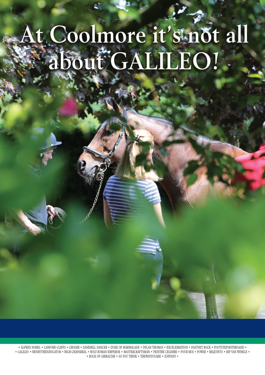 The Owner Breeder Preview Pages