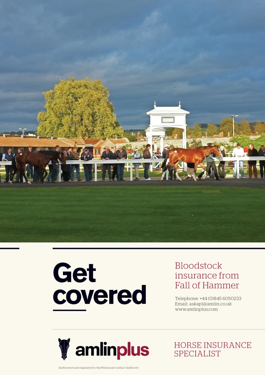 The Owner Breeder Preview Pages