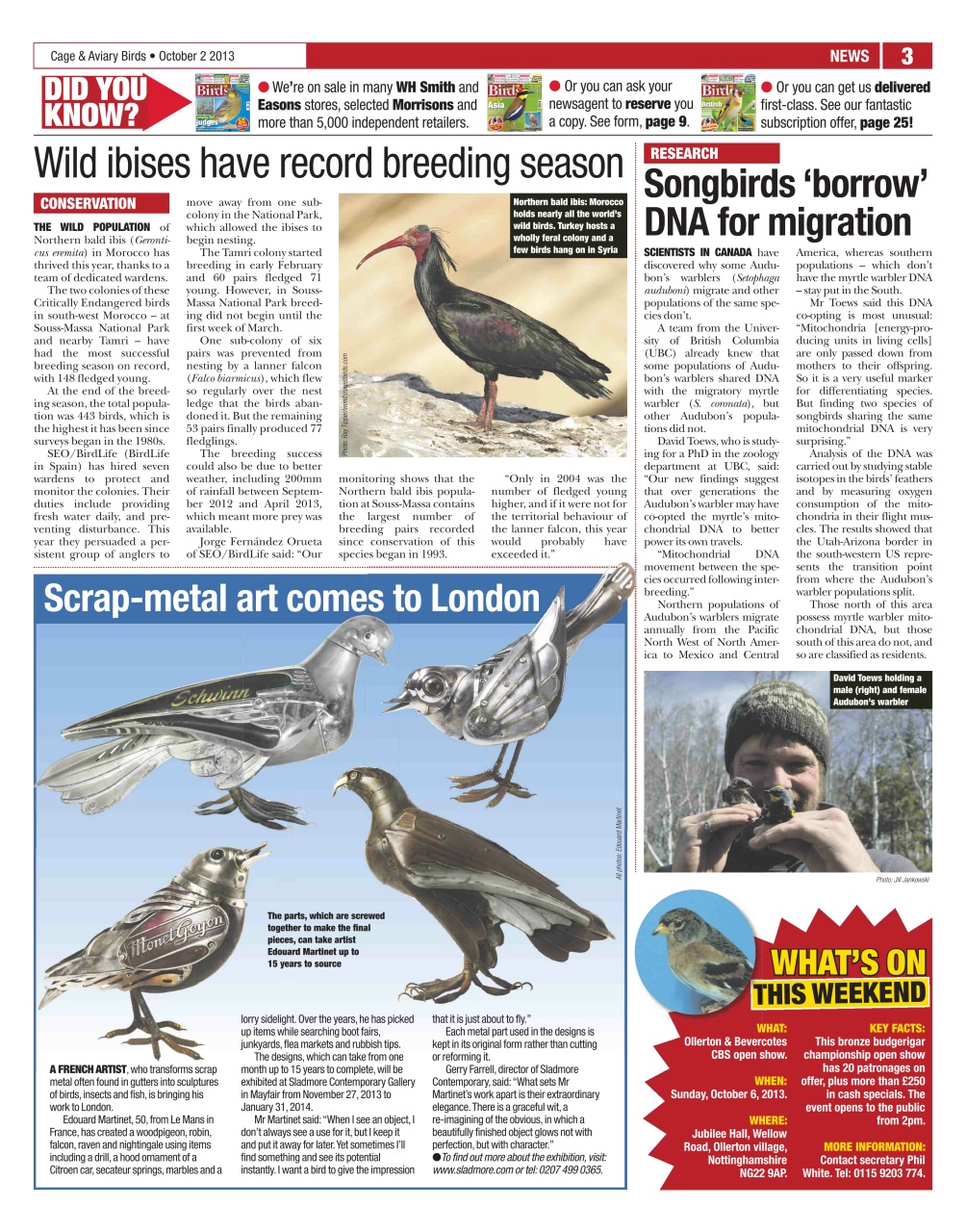 Cage & Aviary Birds Preview Pages