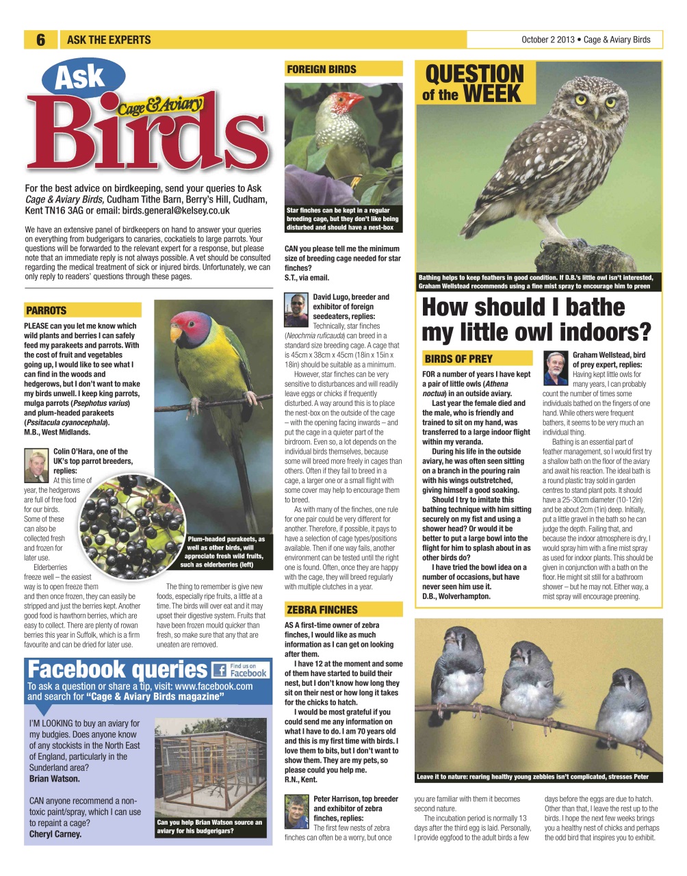 Cage & Aviary Birds Preview Pages