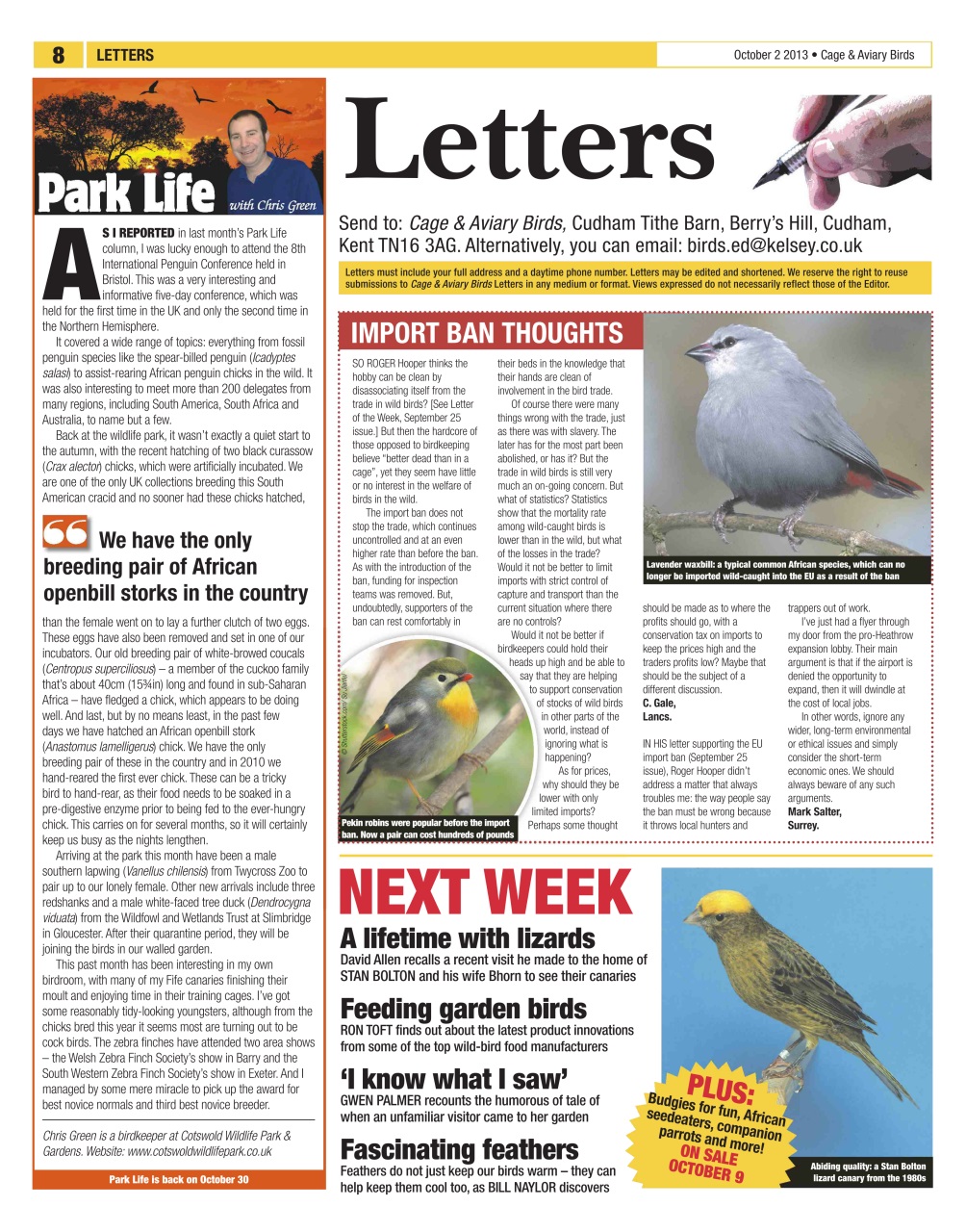 Cage & Aviary Birds Preview Pages