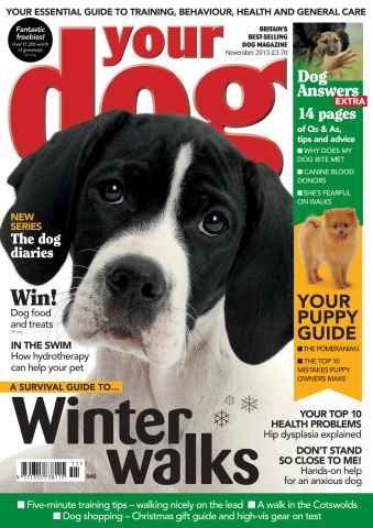 Your Dog issue Your Dog Magazine November 2013