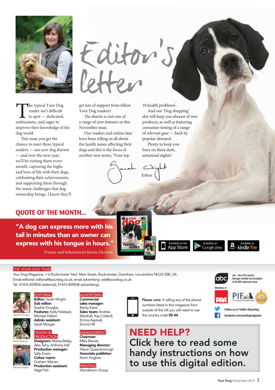 Your Dog Preview Pages