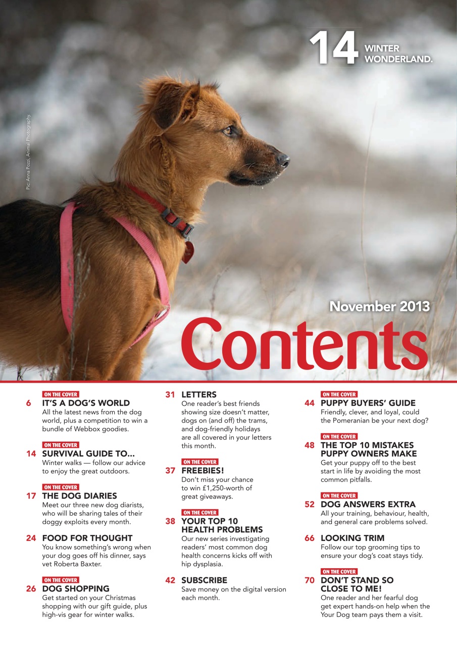 Your Dog Preview Pages