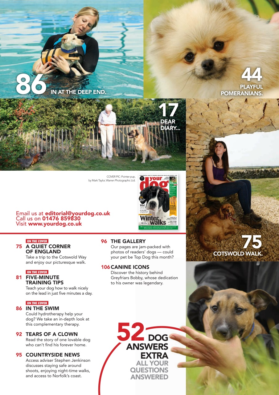 Your Dog Preview Pages