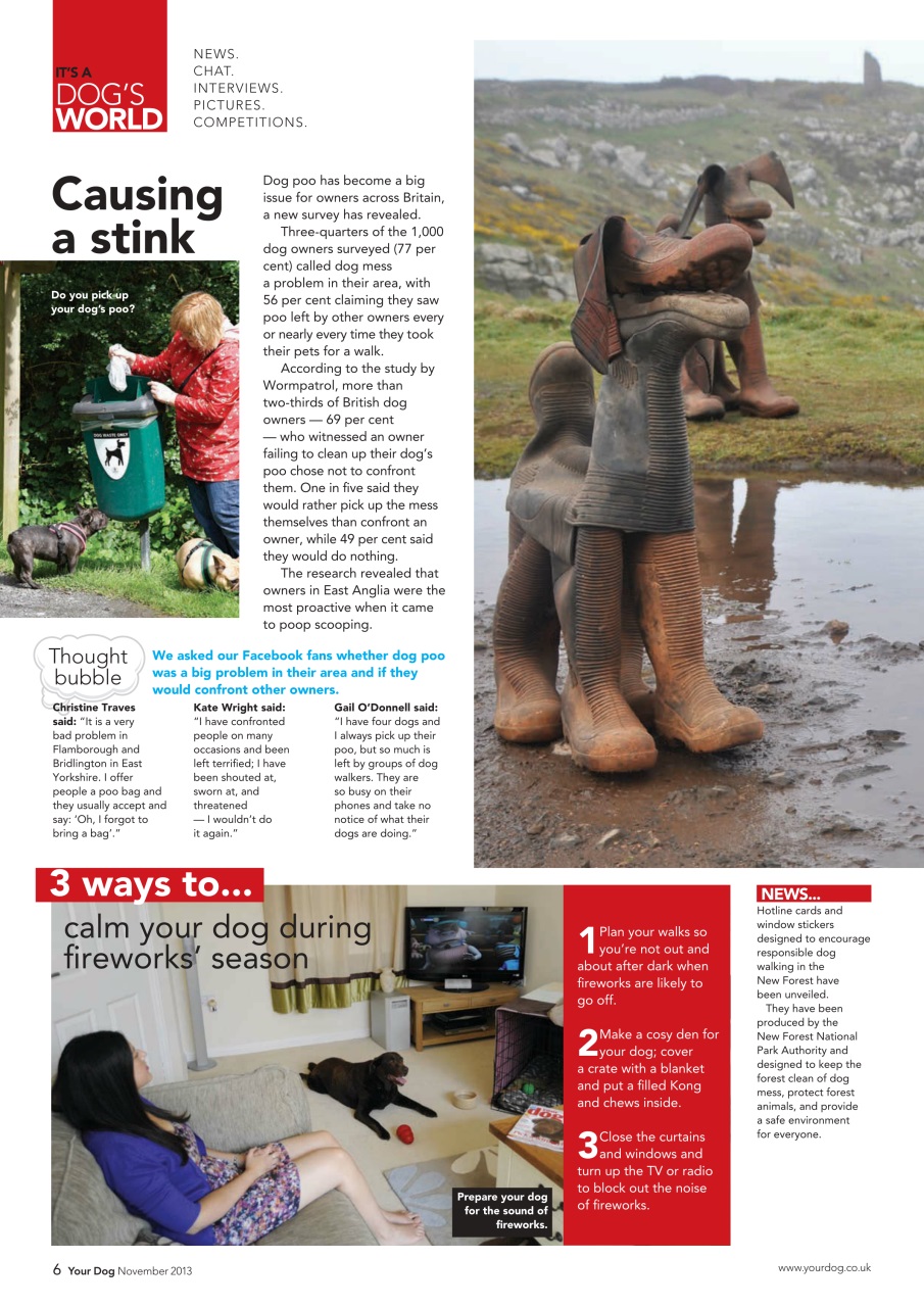 Your Dog Preview Pages