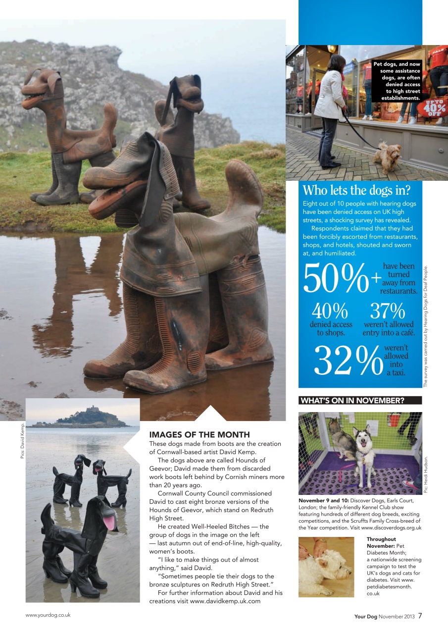 Your Dog Preview Pages