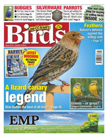 Cage & Aviary Birds issue No.5773 A Lizard Canary Legend