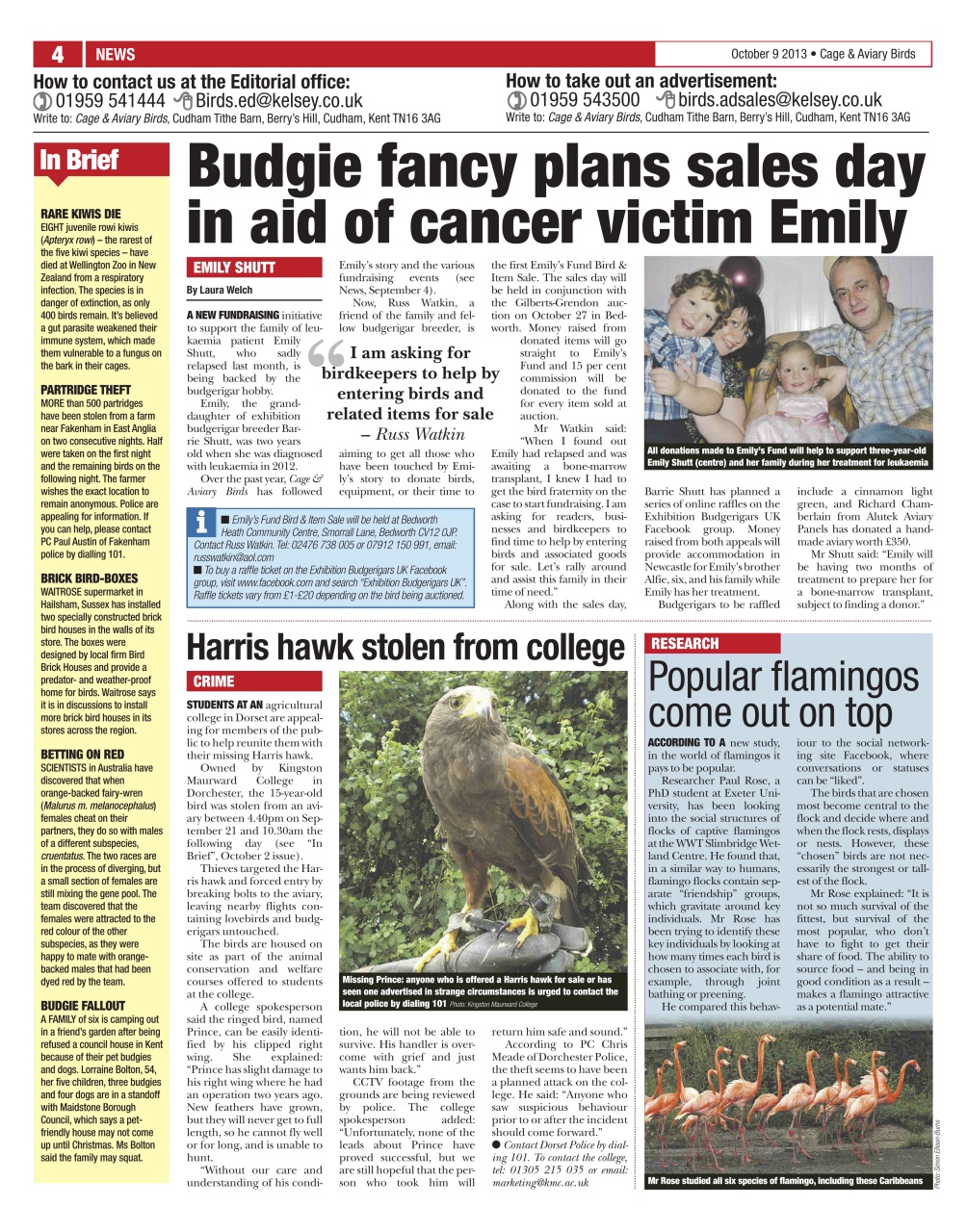 Cage & Aviary Birds Preview Pages