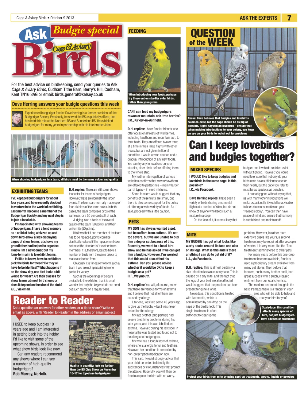 Cage & Aviary Birds Preview Pages