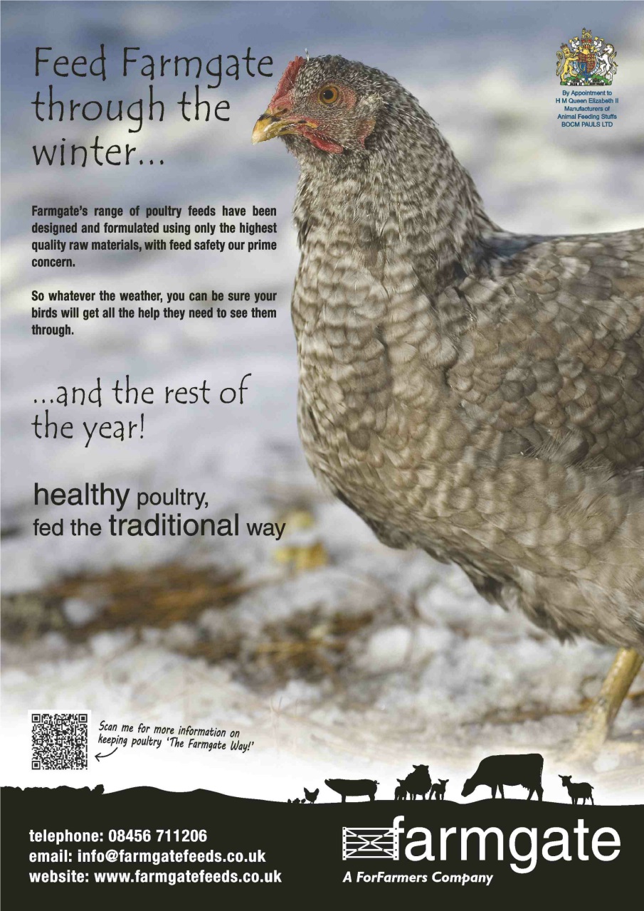 Practical Poultry Preview Pages