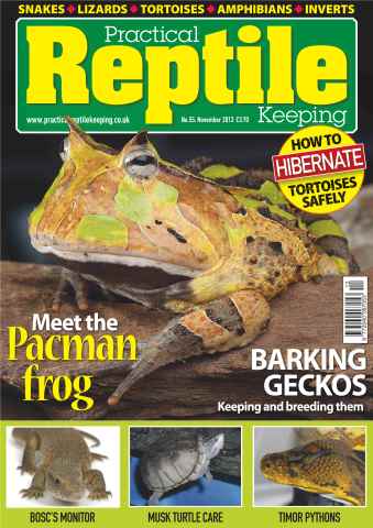 Practical Reptile Keeping issue No.55 Meet the Pacman Frog
