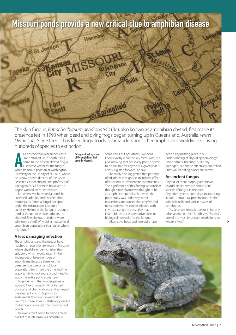 Practical Reptile Keeping Preview Pages