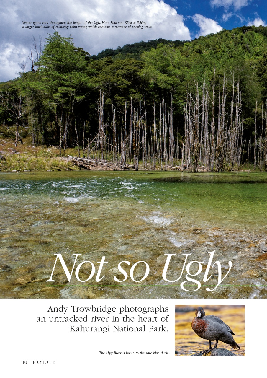 FlyLife Preview Pages