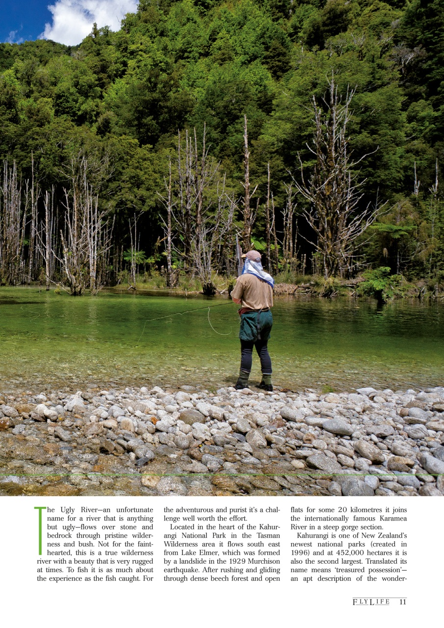 FlyLife Preview Pages