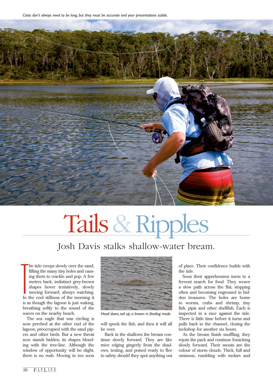 FlyLife Preview Pages